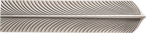 3D Feather Forge 3D Feather Forge